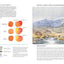 David Bellamy's Landscapes through the Seasons in Watercolour