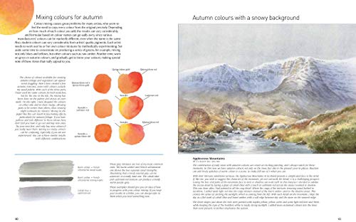 David Bellamy's Landscapes through the Seasons in Watercolour