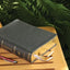 ESV, Thompson Chain-Reference Bible, Leathersoft, Gray, Red Letter