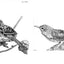Slow Birding: The Art and Science of Enjoying the Birds in Your Own Backyard