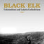 Black Elk: Colonialism And Lakota Catholicism (FAITH AND CULTURE SERIES)