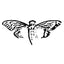 The Complete Liber Primus