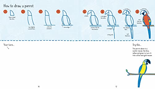 Step-by-Step Drawing Zoo Animals