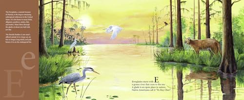 S is for Sunshine: A Florida Alphabet (Discover America State by State)