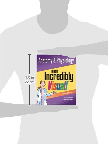 Anatomy and Physiology Made Incredibly Visual! (Volume 2) (Incredibly Easy! Series)