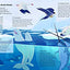 Sounds of Nature: World of Oceans: Press each note to hear animal sounds