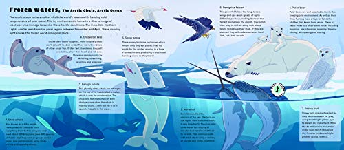 Sounds of Nature: World of Oceans: Press each note to hear animal sounds