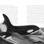 A Whale of the Wild: A Thrilling Animal Adventure About Survival and Family in the Salish Sea (A Voice of the Wilderness Novel)
