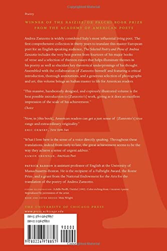 The Selected Poetry and Prose of Andrea Zanzotto: A Bilingual Edition