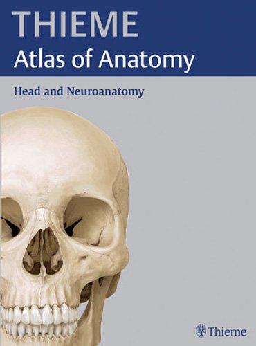 Head and Neuroanatomy (THIEME Atlas of Anatomy) (THIEME Atlas of Anatomy Series)