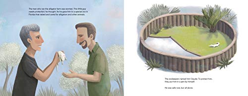 Claude: The True Story of a White Alligator