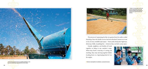 The Life of Rice: From Seedling to Supper (Traveling Photographer)