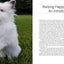 Raising Happy Rabbits: Housing, Feeding, and Care Instructions for Your Rabbit's First Year