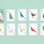 Birds: Playing Cards