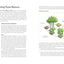 Practical Permaculture: for Home Landscapes, Your Community, and the Whole Earth