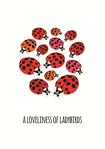 101 Collective Nouns — back cover