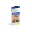 DK Top 10 Israel and Petra (Pocket Travel Guide)