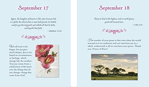 Daily Gratitude (Deluxe Daily Prayer Books)