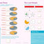Brain Quest Workbook: Grade 5