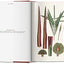 Martius. The Book of Palms
