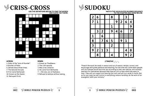 Bible Power Puzzles: 500 Scripture-Inspired Games-Learn the Word of God Through the Power of Puzzles! (Large Print)