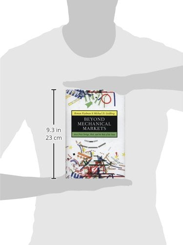 Beyond Mechanical Markets: Asset Price Swings, Risk, and the Role of the State