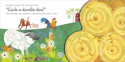 Pop-Up Peekaboo! Wake Up, Farm! (Jonny Lambert Illustrated)