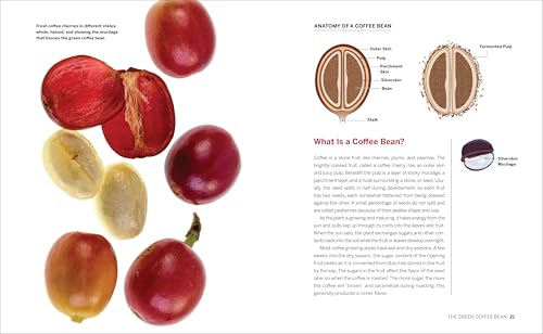 Coffee Roaster's Handbook: A How-To Guide for Home and Professional Roasters