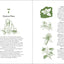 50 Things to Do in the Wild (Explore More) by Skrein, Richard