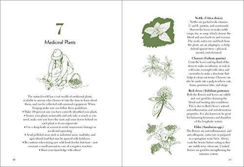 50 Things to Do in the Wild (Explore More) by Skrein, Richard