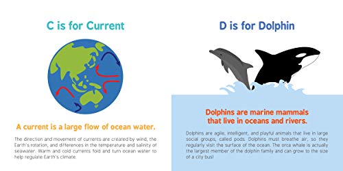 ABCs of Oceanography: Learn about Sea Creatures, Marine Biology, and More with this Essential Ocean Board Book from the #1 Science Author for Kids (Baby University)
