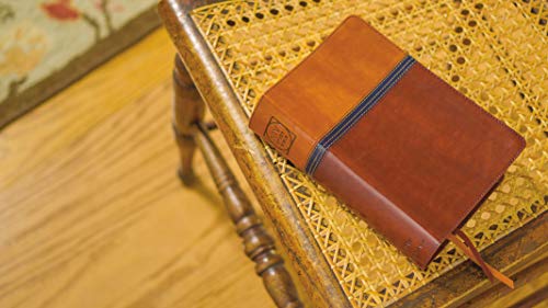 NIV Study Bible, Fully Revised Edition (Study Deeply. Believe Wholeheartedly.), Personal Size, Leathersoft, Brown/Blue, Red Letter, Thumb Indexed, Comfort Print