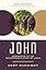 John: Responding to the Incomparable Story of Jesus (New Testament Everyday Bible Study Series)