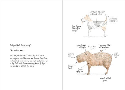 I am a Capybara — back cover
