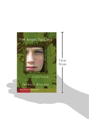 The Angel Factory