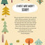 Find Me! Adventures in the Forest: Play Along to Sharpen Your Vision and Mind (Happy Fox Books) Help Bernard the Wolf Play Hide-and-Seek with Friends; Search for Over 100 Hidden Objects & Animals