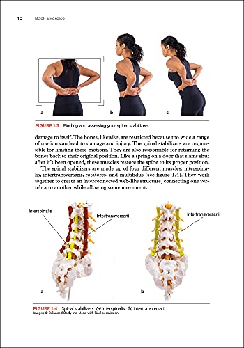 Back Exercise: Stabilize, Mobilize, and Reduce Pain — back cover