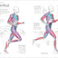 Science of Running: Analyze Your Technique, Prevent Injury