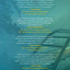 The Last Thing He Told Me: A Novel