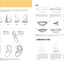 Drawing: Faces & Features: Learn to draw step by step (How to Draw & Paint)