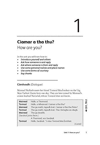 Complete Gaelic Beginner to Intermediate Course (Teach Yourself)