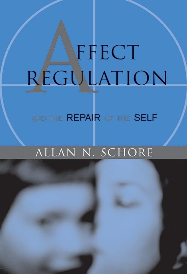 Affect Regulation and the Repair of the Self (Norton Series)