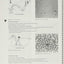 Veterinary Parasitology: Reference Manual by Foreyt, William