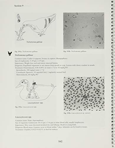 Veterinary Parasitology: Reference Manual by Foreyt, William