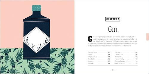 The Essential Bar Book for Home Mixologists: Tools, Techniques, and Spirits to Master Cocktails