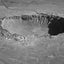 Impact: How Rocks from Space Led to Life, Culture, and Donkey Kong