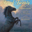 Black Beauty and the Thunderstorm (My Readers)
