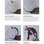 Easy Oil Painting: Beginner Tutorials for Small Still Life (Design Originals) 9 Step-by-Step Projects of Simple Subjects for 4-Inch Square or Smaller Canvases, Technique Lessons, and Sketches to Trace