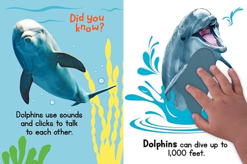 Ocean Friends - Touch and Feel Board Book - Sensory Board Bo