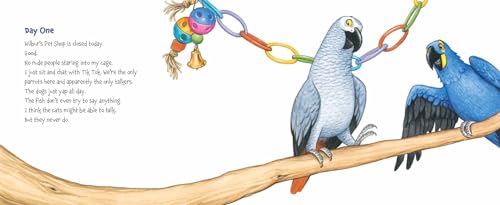 Memoirs of a Parrot